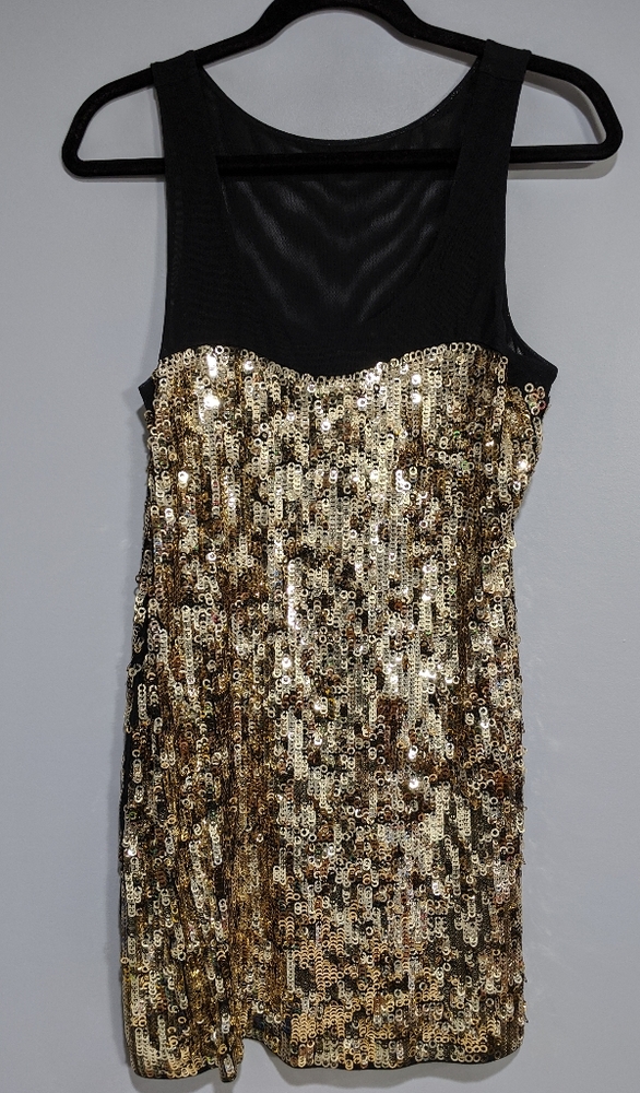 Express sequin NYE dress
